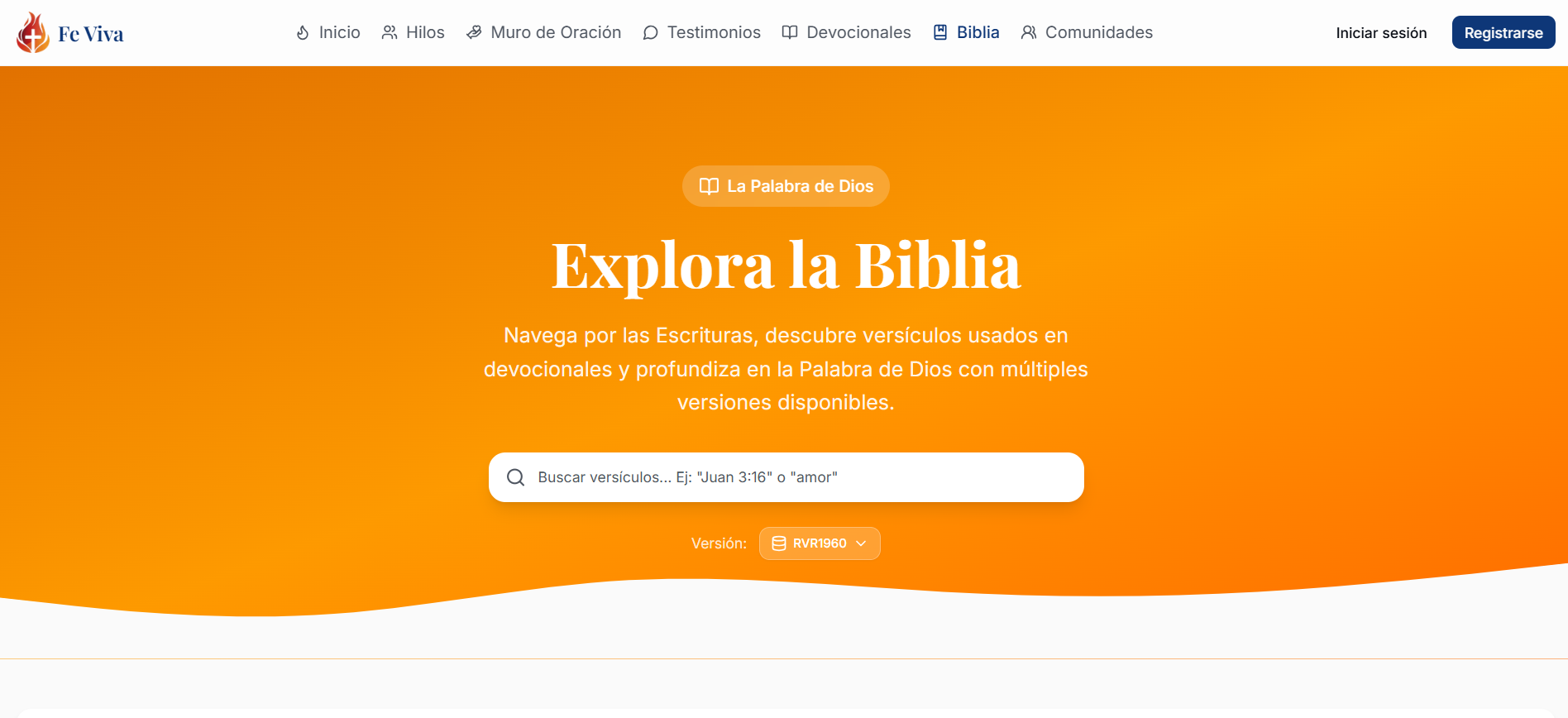 FE VIVA visual 9